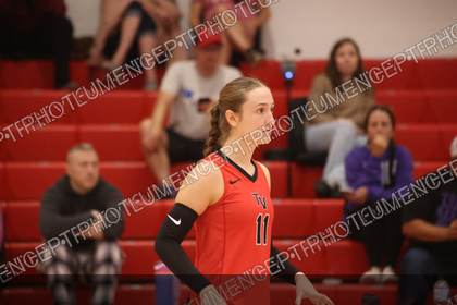 Game photo preview