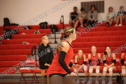 Game photo preview