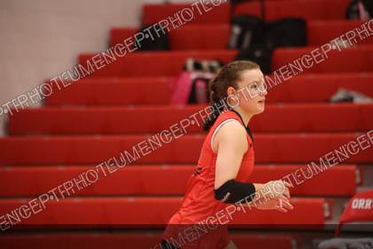 Game photo preview