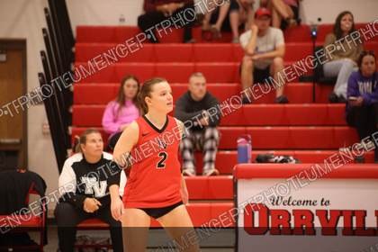 Game photo preview