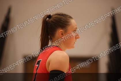 Game photo preview