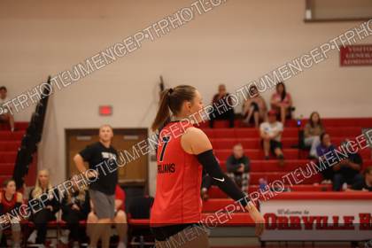 Game photo preview