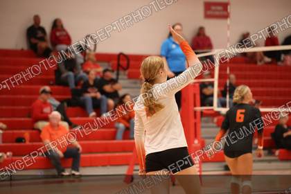 Game photo preview
