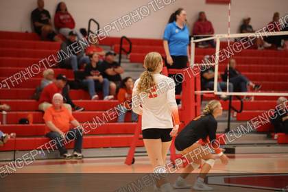 Game photo preview