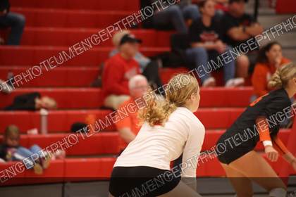 Game photo preview