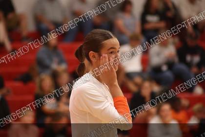 Game photo preview
