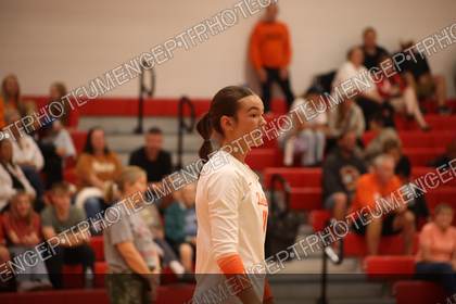 Game photo preview