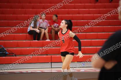 Game photo preview