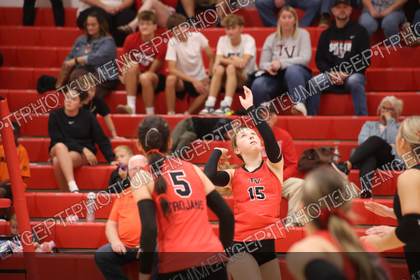 Game photo preview