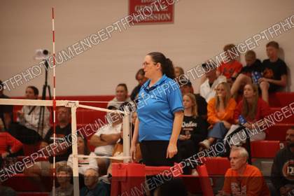 Game photo preview