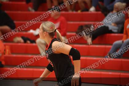 Game photo preview