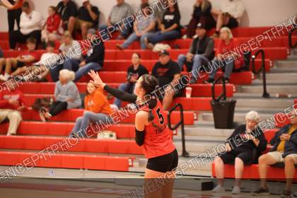 Game photo preview