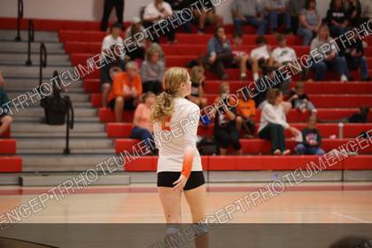 Game photo preview