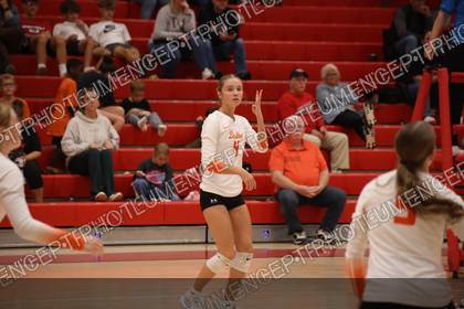 Game photo preview