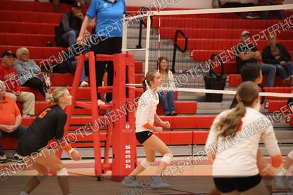 Game photo preview