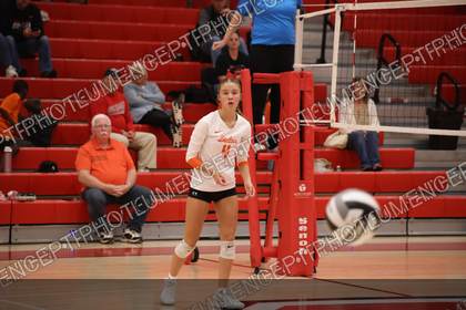 Game photo preview