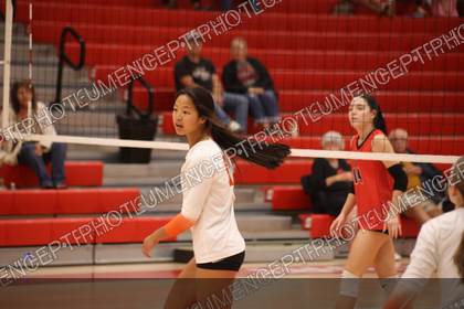 Game photo preview