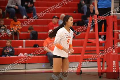 Game photo preview