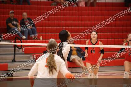 Game photo preview