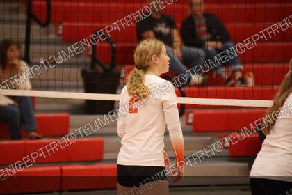 Game photo preview