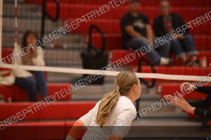 Game photo preview