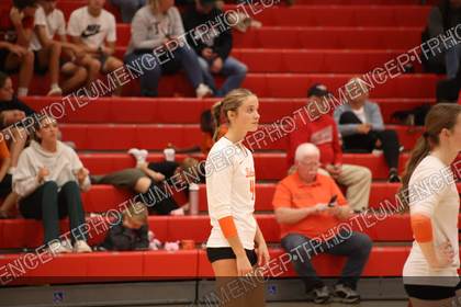Game photo preview