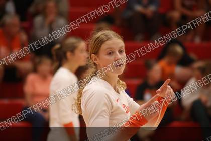 Game photo preview
