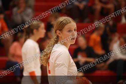 Game photo preview