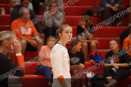 Game photo preview