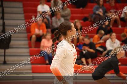 Game photo preview