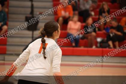 Game photo preview