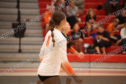 Game photo preview