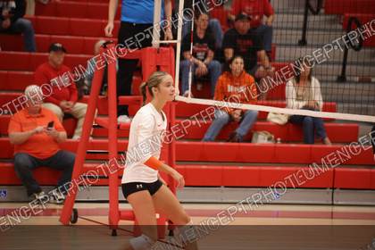 Game photo preview