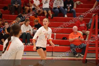 Game photo preview