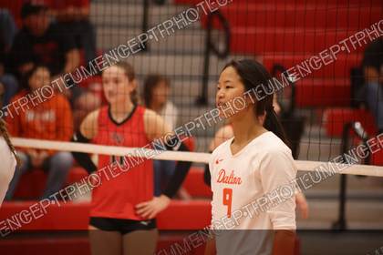 Game photo preview